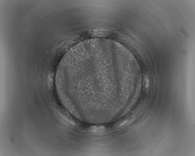 X0000112060271200909011008