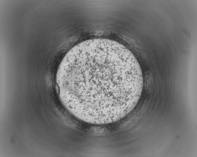 X0000112060272200909011008