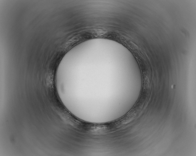 X0000112060274200909011008