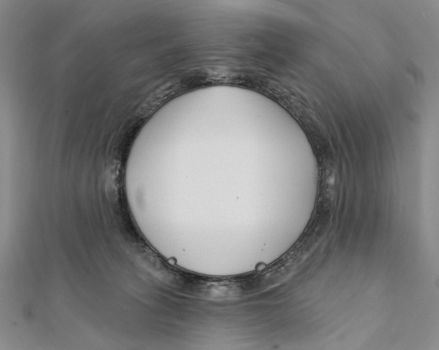 X0000112060275200909011008