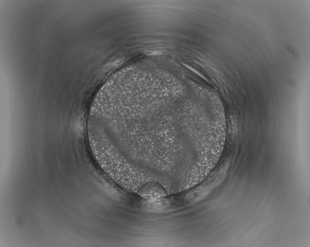 X0000112060277200909011008