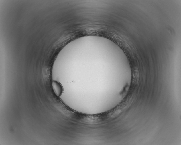 X0000112060278200909011008