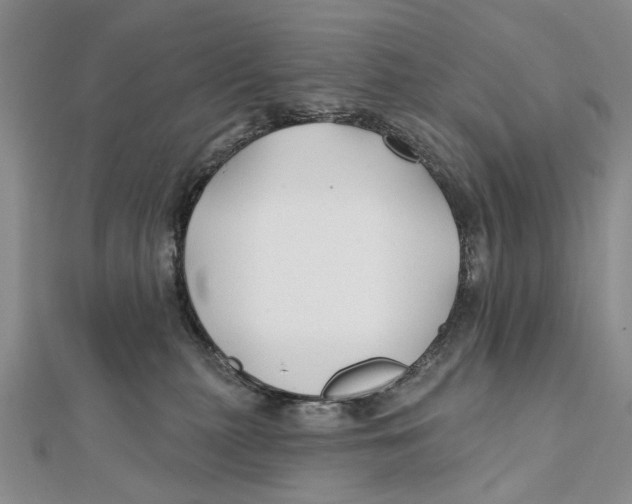 X0000112060279200909011008