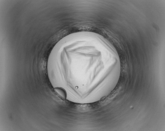 X0000112060281200909011008