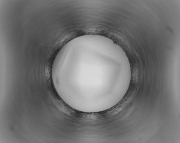 X0000112060282200909011009