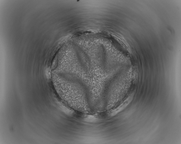 X0000112060285200909011009