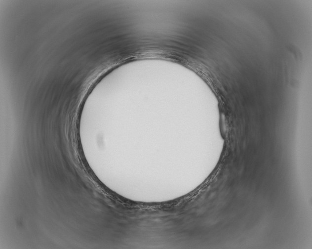 X0000112060289200909011008