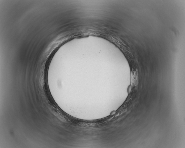 X0000112060291200909011008