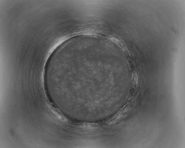 X0000112060292200909011008