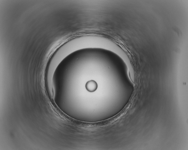 X0000112060293200909011008