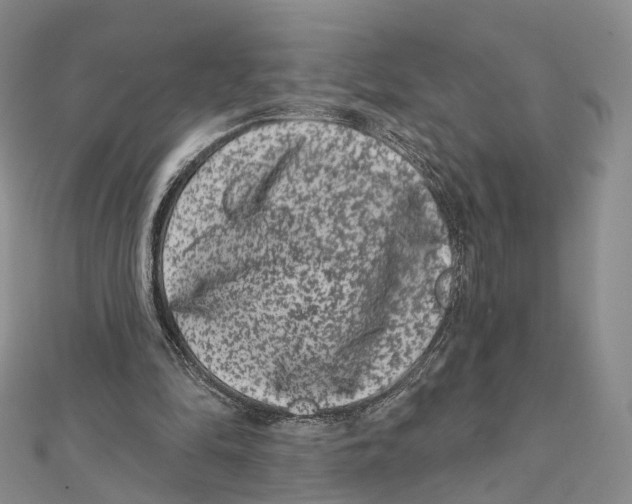 X0000112060294200909011008