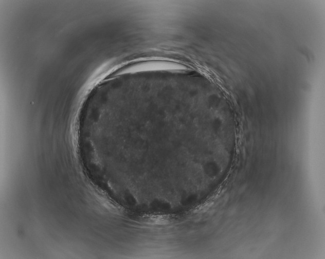 X0000112060295200909011008