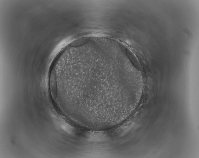 X0000112060296200909011008