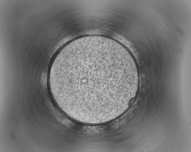 X0000112060297200909011008
