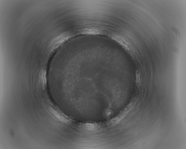 X0000112060302200909011008