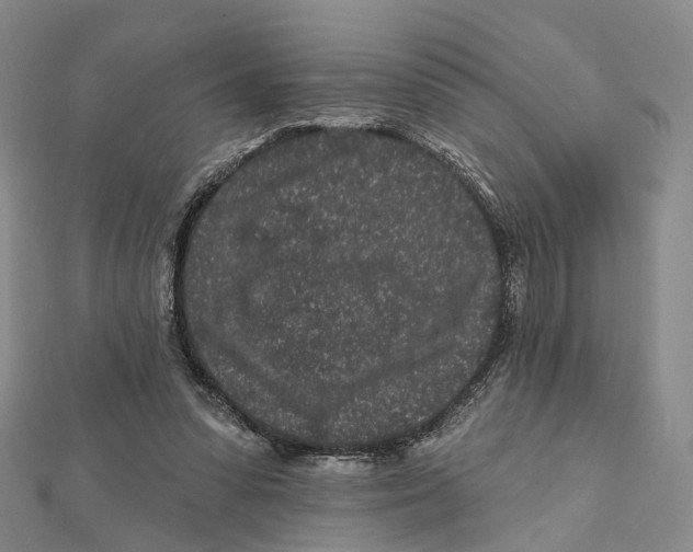 X0000112060303200909011008