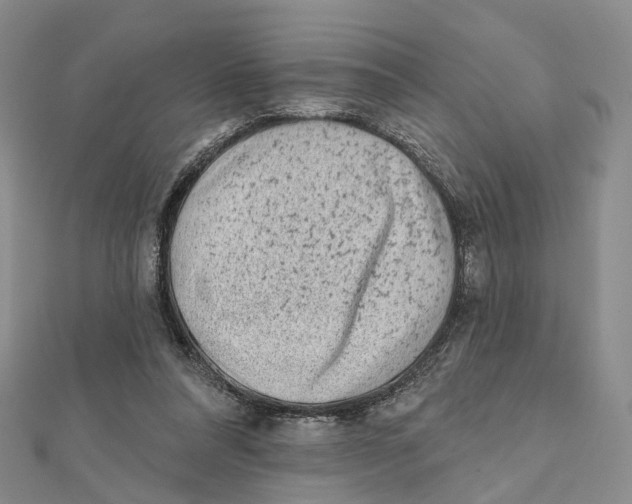 X0000112060304200909011008