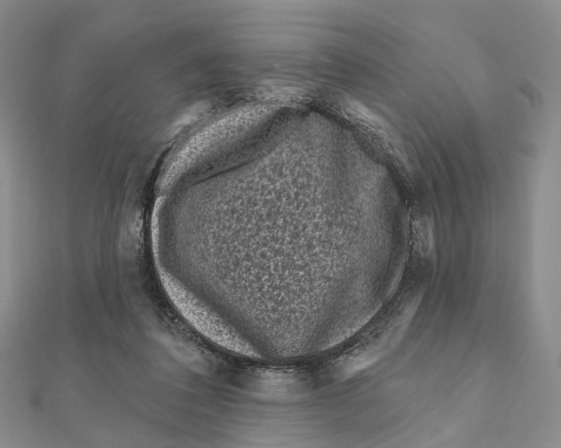 X0000112060308200909011008