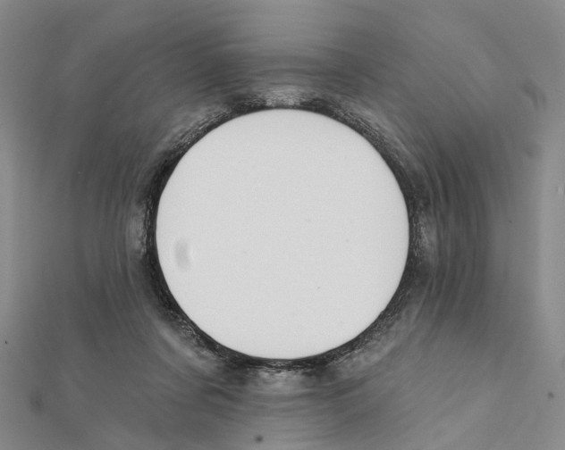 X0000112060311200909011008