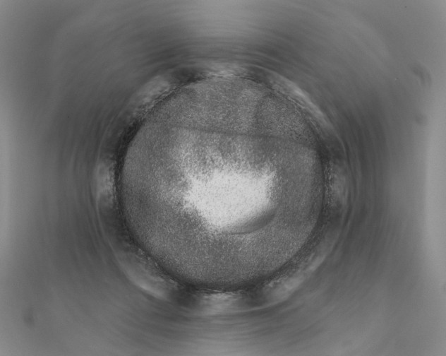 X0000112060312200909011008