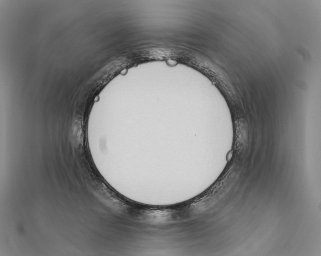 X0000112060313200909011008