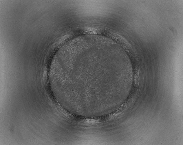 X0000112060314200909011008