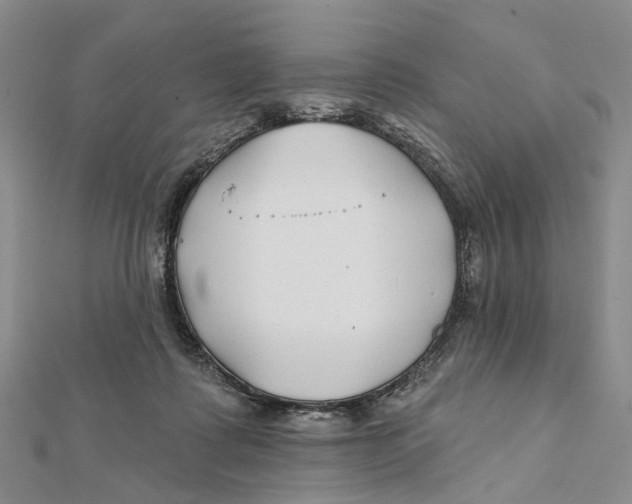 X0000112060315200909011008
