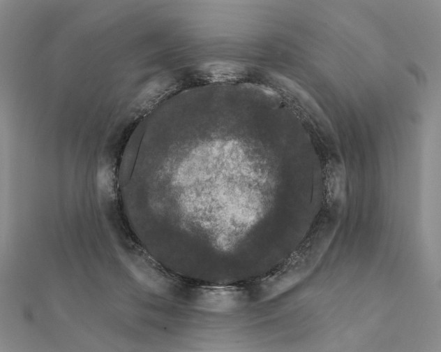 X0000112060316200909011008