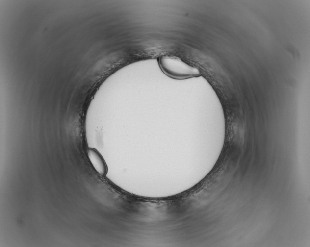 X0000112060317200909011008