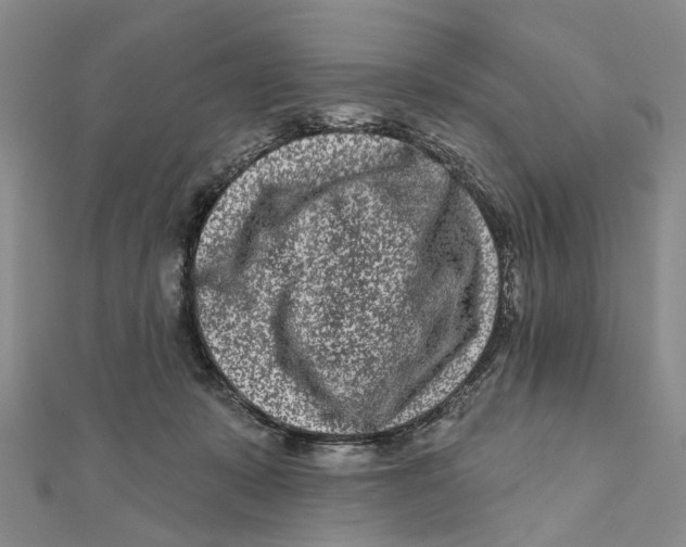 X0000112060319200909011008