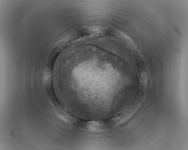 X0000112060320200909011008