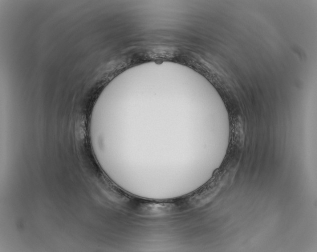 X0000112060323200909011008
