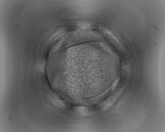 X0000112060325200909011008