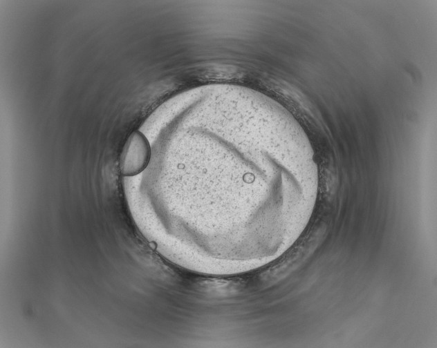 X0000112060326200909011007