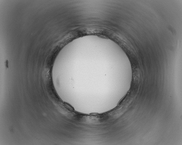 X0000112060327200909011007