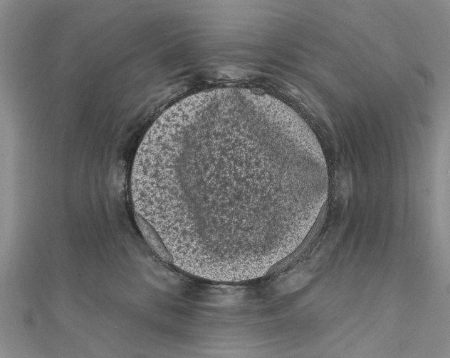 X0000112060328200909011007