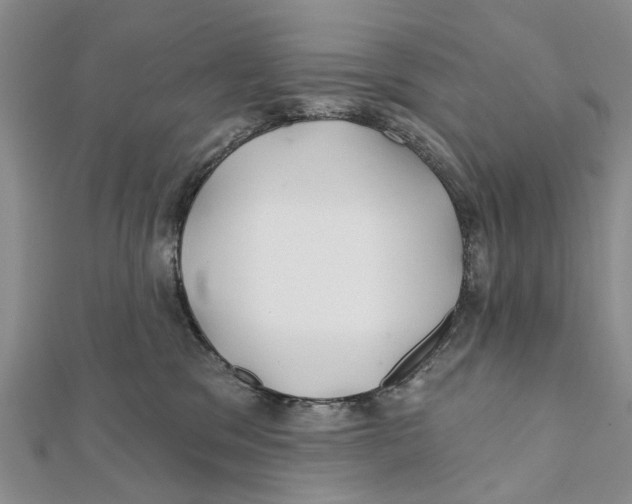 X0000112060329200909011007