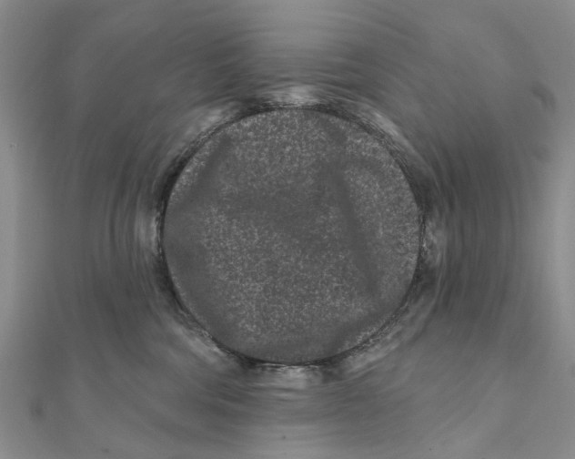 X0000112060330200909011007