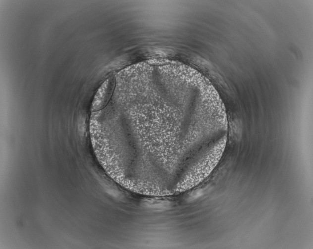 X0000112060331200909011007