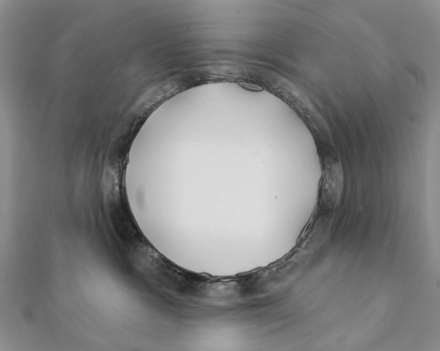 X0000112060333200909011007