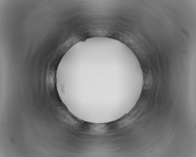 X0000112060334200909011007