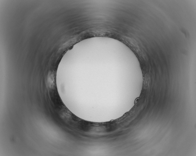 X0000112060335200909011007