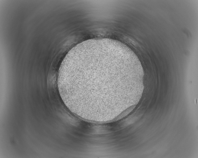 X0000112060336200909011007