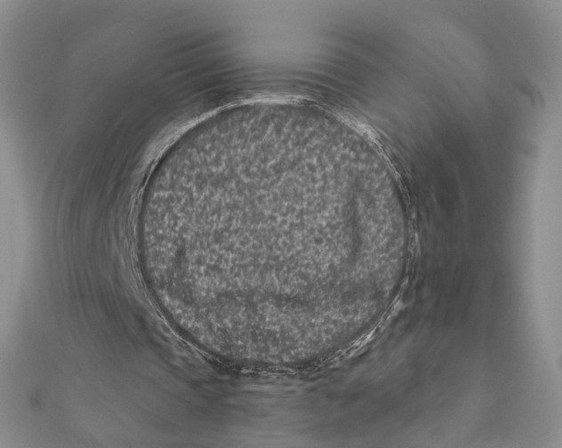 X0000112060337200909011007