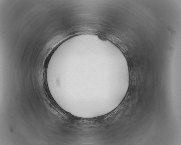 X0000112060338200909011007