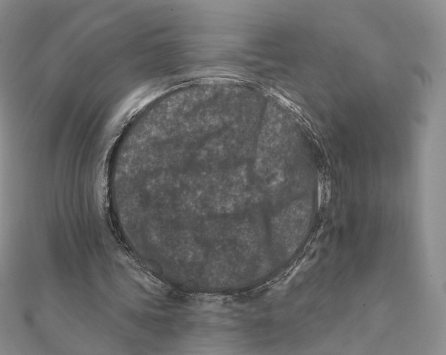 X0000112060339200909011007