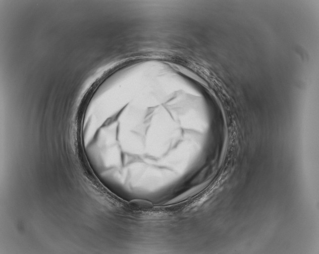 X0000112060342200909011007
