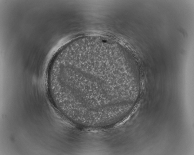 X0000112060343200909011007