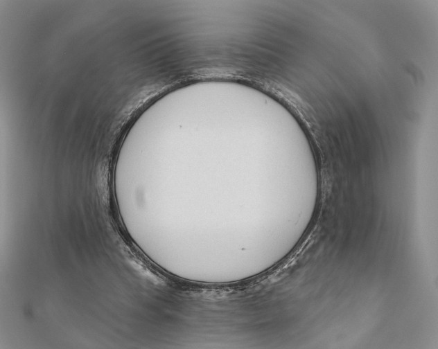 X0000112060345200909011007