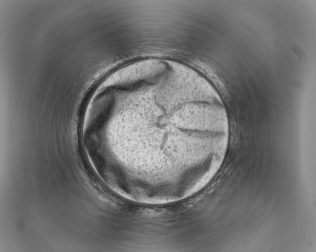 X0000112060346200909011007